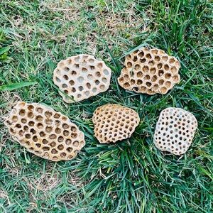 Handmade Ceramic Wasp Nest | 1 Mystery Nest | Decor Sculpture